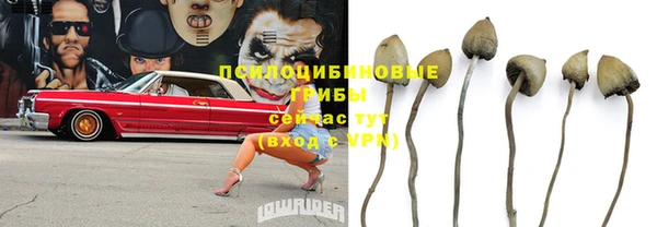 стафф Алексин