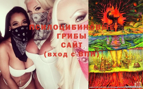 MDMA Алексеевка
