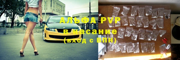 стафф Алексин